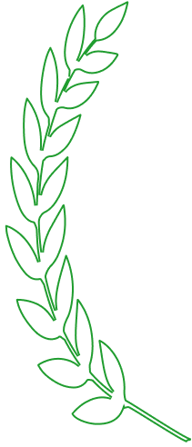 Kammix Schädlingsbekämpfung